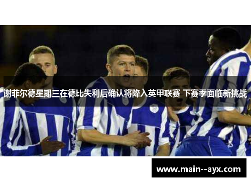 谢菲尔德星期三在德比失利后确认将降入英甲联赛 下赛季面临新挑战 谢菲尔德星期三在德比失利后确认将降入英甲联赛 下赛季面临新挑战