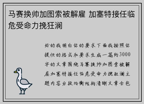 马赛换帅加图索被解雇 加塞特接任临危受命力挽狂澜
